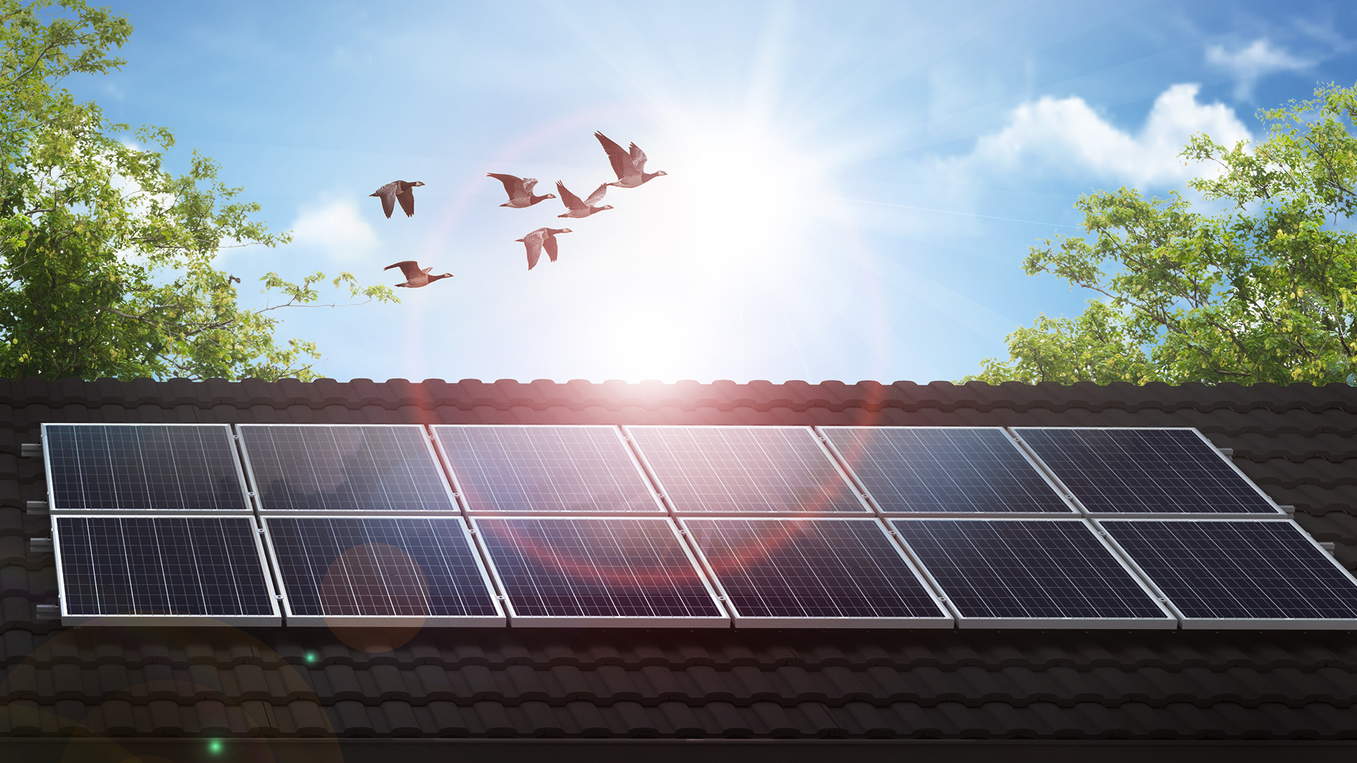 HT Solar Enerji, Türkiye’ye 1 milyar dolarlık yatırım yapacak